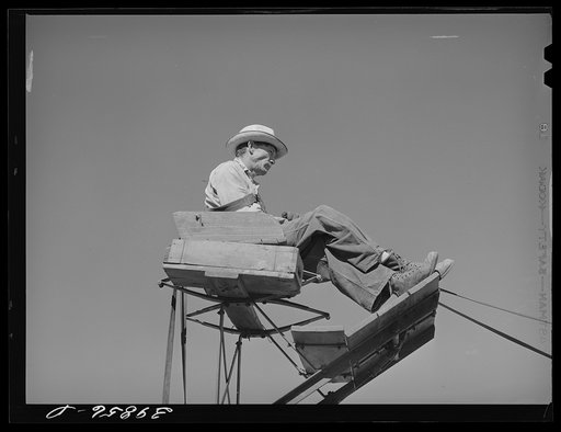 Untitled photo, possibly related to: Mule skinner who drives the twenty mules team which draws the combine. Walla Walla County, Washington