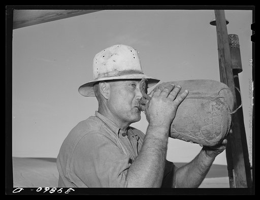 Combine worker gets a drink of water. Burlap wrapping on bottle is kept moist, water is cooled by rapid evaporation. Walla Walla County, Washington