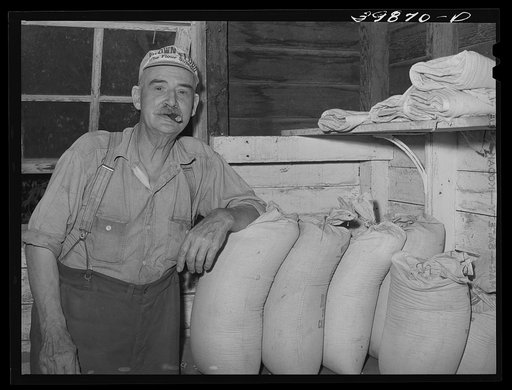 He gathers samples of wheat for a central sampling and testing station. Walla Walla County, Washington