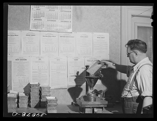 Test to determine weight per bushel of wheat. Walla Walla, Washington