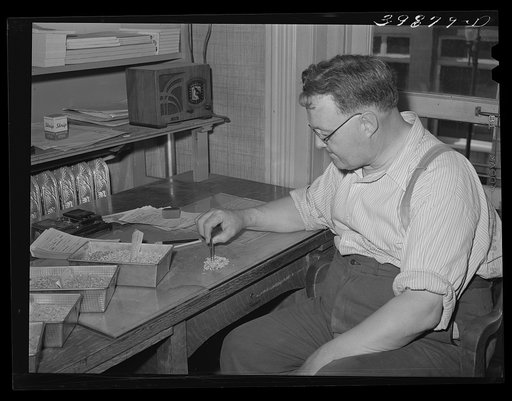 State inspector separating rye from wheat. Walla Walla County, Washington