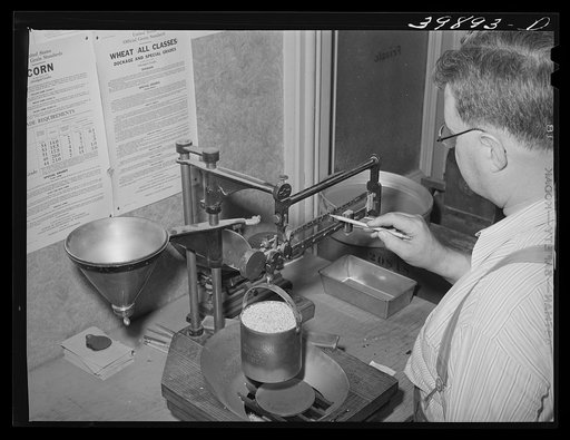 State inspector determines weight per bushel of wheat. Walla Walla, Washington