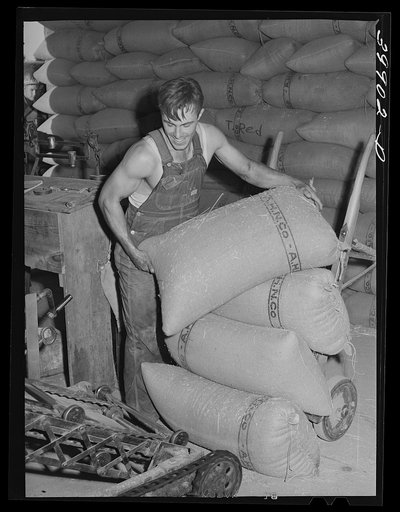 Sacked wheat being stored in warehouse. Touchet, Walla Walla County, Washington