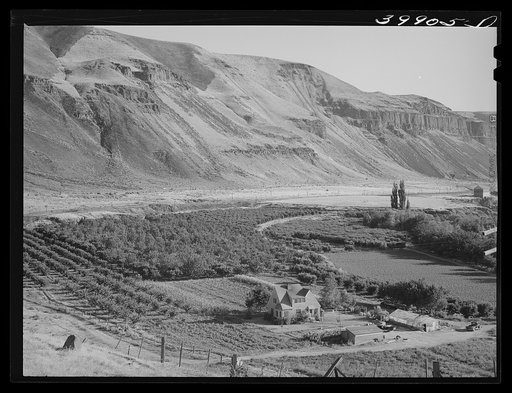 Farm on banks of Columbia River. Walla Walla County, Washington
