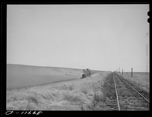 Combine working in wheat field by side of railroad. Walla Walla County, Washington