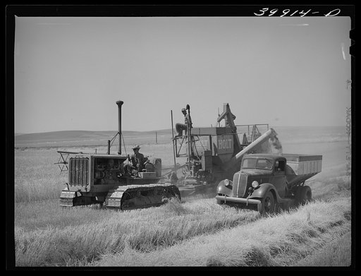 Bulk wheat is delivered from combine to truck in field. Combine and tractor didn't stop and the truck drove along by the side. Some wheat is sacked on the combine. Walla Walla County, Waghington