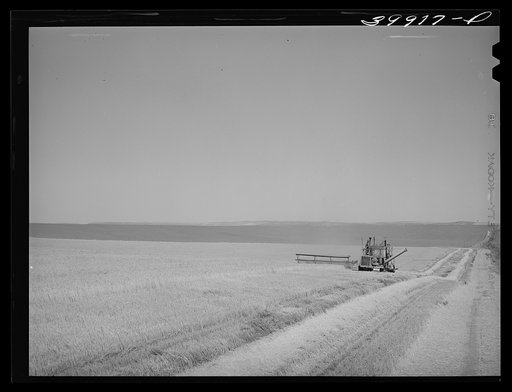 Caterpillar-drawn combine in wheat field. Walla Walla County, Washington