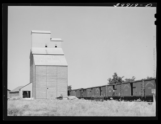 Elevator and railroad cars. Eureka, Walla Walla County, Washington