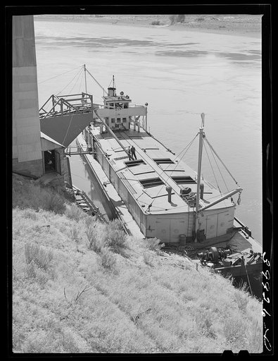 Barge which will carry bulk wheat from Port Kelly to Portland. Walla Walla, Washington