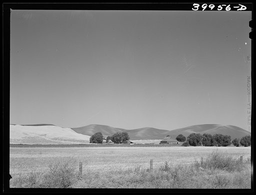 Farmstead and wheatland. Whitman County, Washington