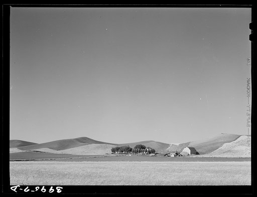 Farmstead and wheatland. Whitman County, Washington