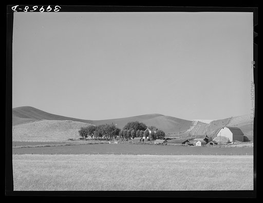 Untitled photo, possibly related to: Farmstead and wheatland. Whitman County, Washington