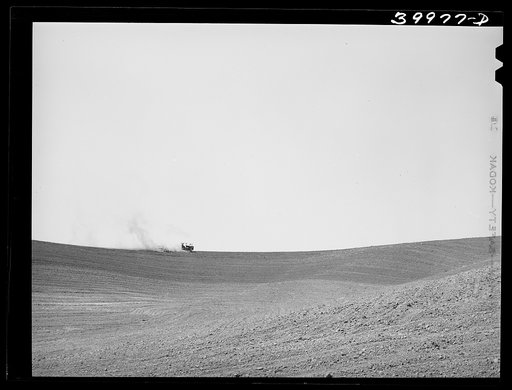 Tractor-drawn harrow in summer fallow. Whitman County, Washington