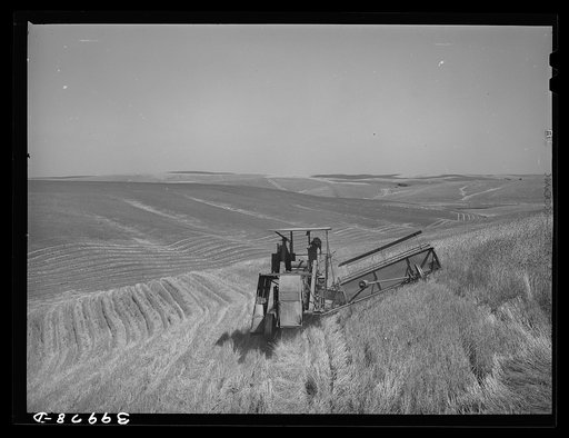 Combine in the wheat. Whitman County, Washington. About ninety percent of the land in this county is under cultivation. Wheat and livestock are principal crops