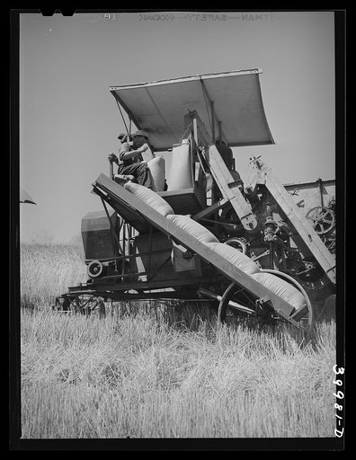 Sacked wheat combine. Whitman County, Washington