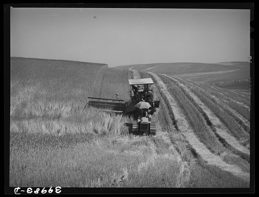 Untitled photo, possibly related to: Caterpillar-drawn combine working in the wheat fields of Whitman County, Washington