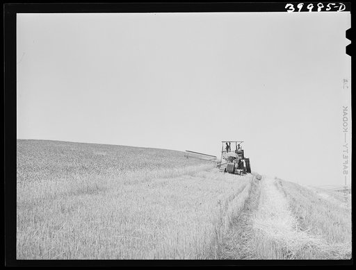 Caterpillar-drawn combine working in the wheat fields of Whitman County, Washington