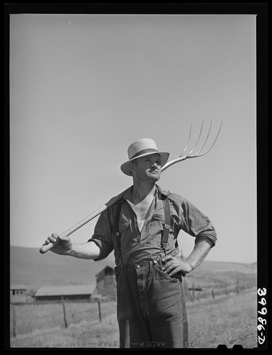Untitled photo, possibly related to: Wheat farmer. Whitman County, Washington. This farmer is not typical of the section in that he uses horses for farm work