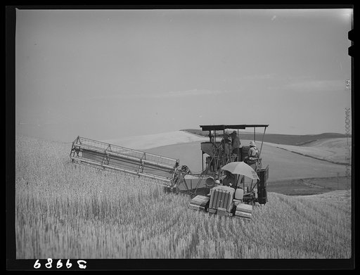 Caterpillar-drawn combine working in wheat fields. Whitman County, Washington