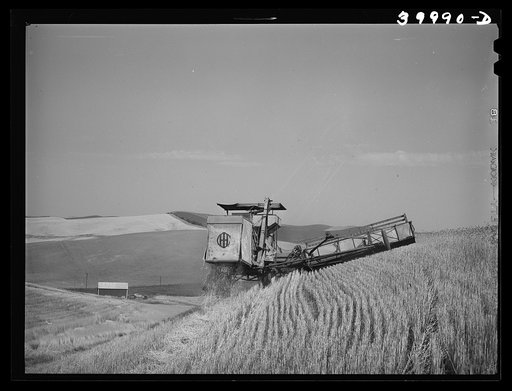 Untitled photo, possibly related to: Caterpillar-drawn combine working in wheat fields. Whitman County, Washington