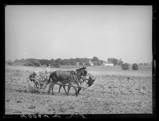 Farmer at work. Lancaster County, Pennsylvania