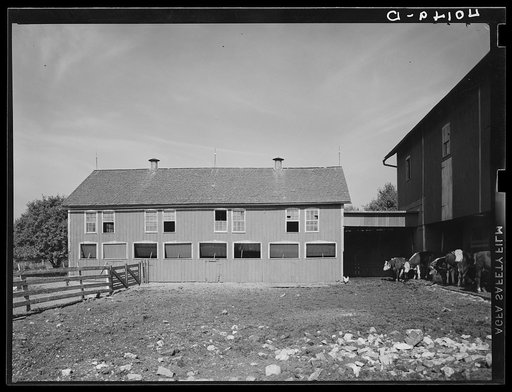 Lititz (vicinity), Lancaster County, Pennsylvania. Barnyard on the farm of C.F. Minnich