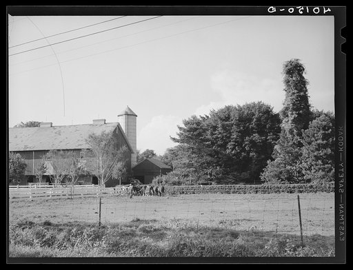 Untitled photo, possibly related to: Lititz (vicinity), Lancaster County, Pennsylvania. Barn and silo on the farm of C.F. Minnich