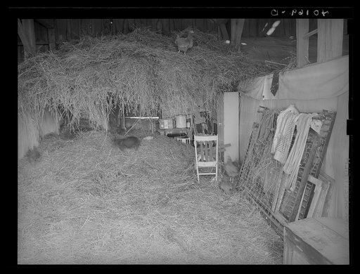 Birdsboro (vicinity), Berks County, Pennsylvania. Hayloft where the Dallas Douglas family lived during the winter of 1937-1938
