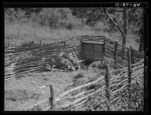 Untitled photo, possibly related to: Birdsboro (vicinity), Berks County, Pennsylvania. Homemade hog pen on the farm of FSA (Farm Security Administration) client Dallas E. Glass