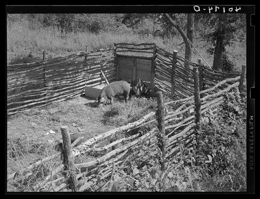 Birdsboro (vicinity), Berks County, Pennsylvania. Homemade hog pen on the farm of FSA (Farm Security Administration) client Dallas E. Glass