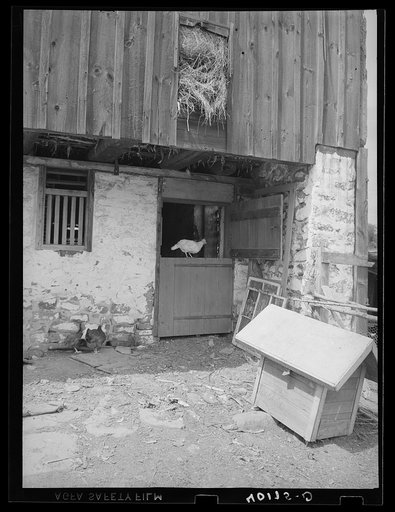 Birdsboro (vicinity), Berks County, Pennsylvania. North end of the barn which is used as a chicken house on the farm of FSA (Farm Security Administration) client Dallas E. Glass