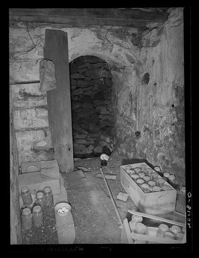Birdsboro (vicinity), Berks County, Pennsylvania. Cold cellar opening onto the well on the farm of FSA (Farm Security Administration) client Dallas E. Glass