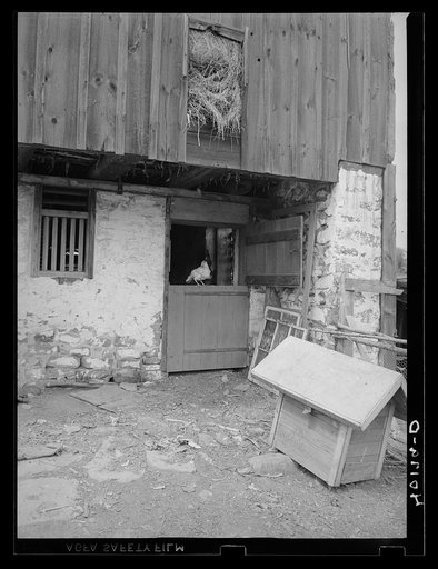 Untitled photo, possibly related to: Birdsboro (vicinity), Berks County, Pennsylvania. North end of the barn which is used as a chicken house on the farm of FSA (Farm Security Administration) client Dallas E. Glass