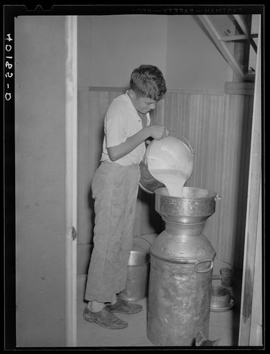 Maytown (vicinity), Lancaster County, Pennsylvania. Jay Reich Jr. filling a milk can in the milk house on the farm of FSA (Farm Security Administration) client Jay Reich