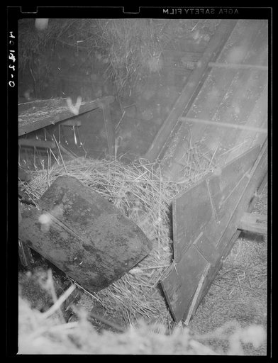 Untitled photo, possibly related to: Barto, Berks County, Pennsylvania. Threshing on the farm of Thomas G. Evans, a FSA (Farm Security Administration) client
