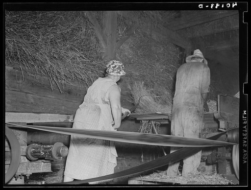 Barto, Berks County, Pennsylvania. Mr. and Mrs. Thomas Evans, clients of the FSA (Farm Security Administration), threshing in the barn of their farm
