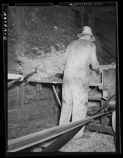 Barto, Berks County, Pennsylvania. Threshing on the farm of Thomas G. Evans, a FSA (Farm Security Administration) client