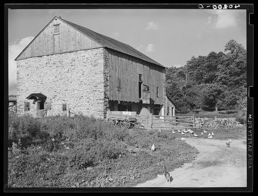 Barto, Berks County, Pennsylvania. Barn on the farm of Thomas G. Evans, a FSA (Farm Security Administration) client