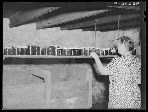 Barto, Berks County, Pennsylvania. Mrs. Thomas Evans with her jellies which are kept on a hanging shelf to keep the bugs off of them. On the farm of Thomas Evans, a FSA (Farm Security Administration) client