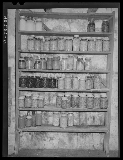 Barto, Berks County, Pennsylvania. August 1938. Mrs. Thomas Evans' preserves in the cellar on the farm of Thomas Evans, a FSA (Farm Security Administration) client