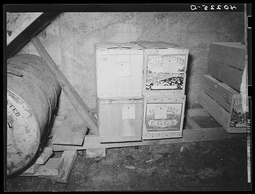 Lancaster County, Pennsylvania. Eggs, which have been graded for shipment, stored in the chicken house on the Enos Royer farm
