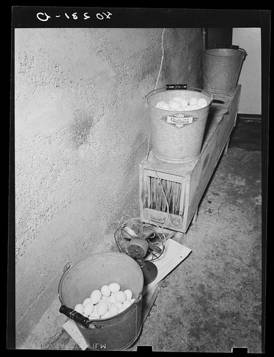 Lancaster County, Pennsylvania. Eggs on the homemade moisturater in the cellar of the chicken house on the Enos Royer farm. A long box contains a tray of water, upright pieces of blotting paper which act as wicks, and a fan which forces air into one end of the box and up through holes on the top of 