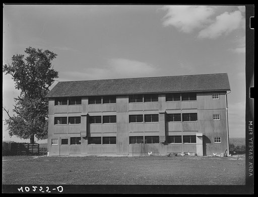 Lancaster County, Pennsylvania. Chicken house on the Enos Royer farm