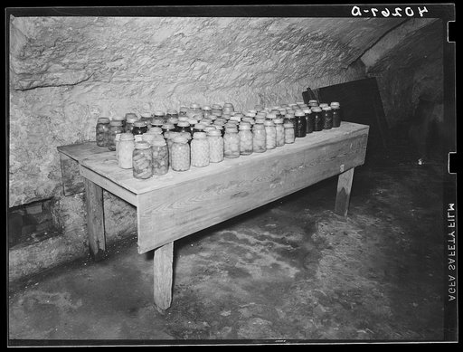 Lancaster County, Pennsylvania. Mrs. Royer's preserves in the cellar of the house on the Enos Royer farm
