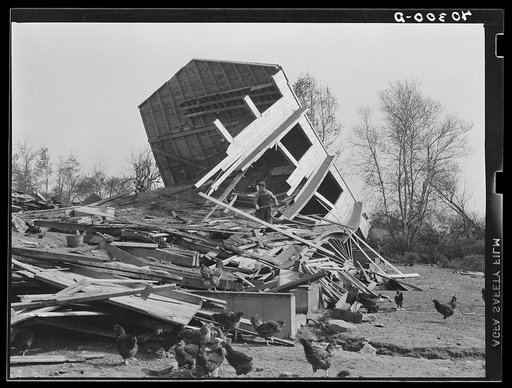 New England hurricane. Chicken house between Worcester and Amherst, Massachusetts
