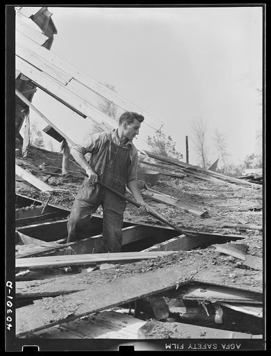New England hurricane. Farmer clearing debris of chicken house between Worcester and Amherst, Massachusetts
