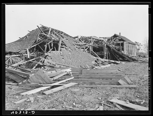 New England hurricane. Tobacco barn near Amherst, Massachusetts