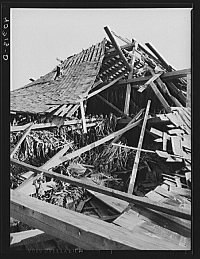 New England hurricane. Tobacco barn in Connecticut