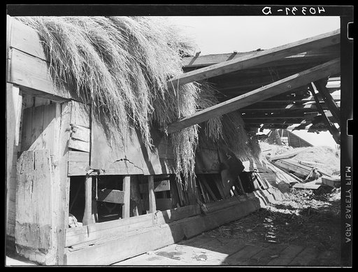 New England hurricane. Barn near Worcester, Massachusetts