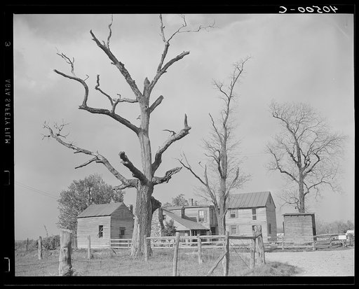 Untitled photo, possibly related to: Houses at crossroads, two miles west of Sterling